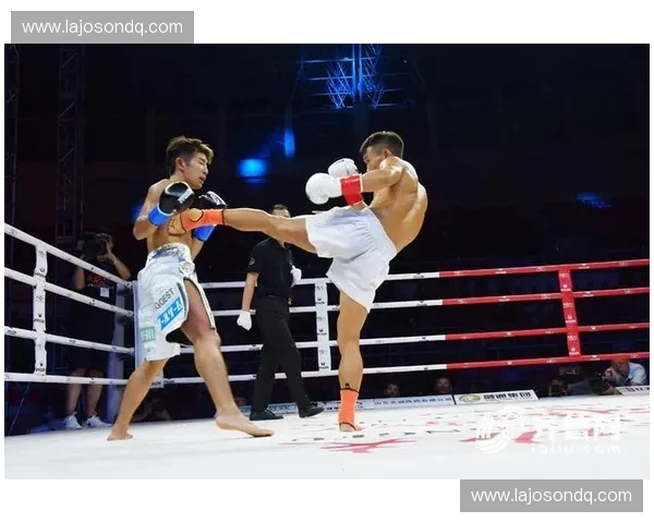 武术散打世界杯精彩瞬间与全球格斗高手巅峰对决全记录